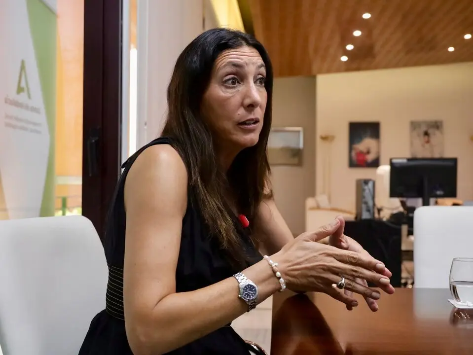 La consejera de Inclusi&oacute;n Social, Loles L&oacute;pez. Europa Press.