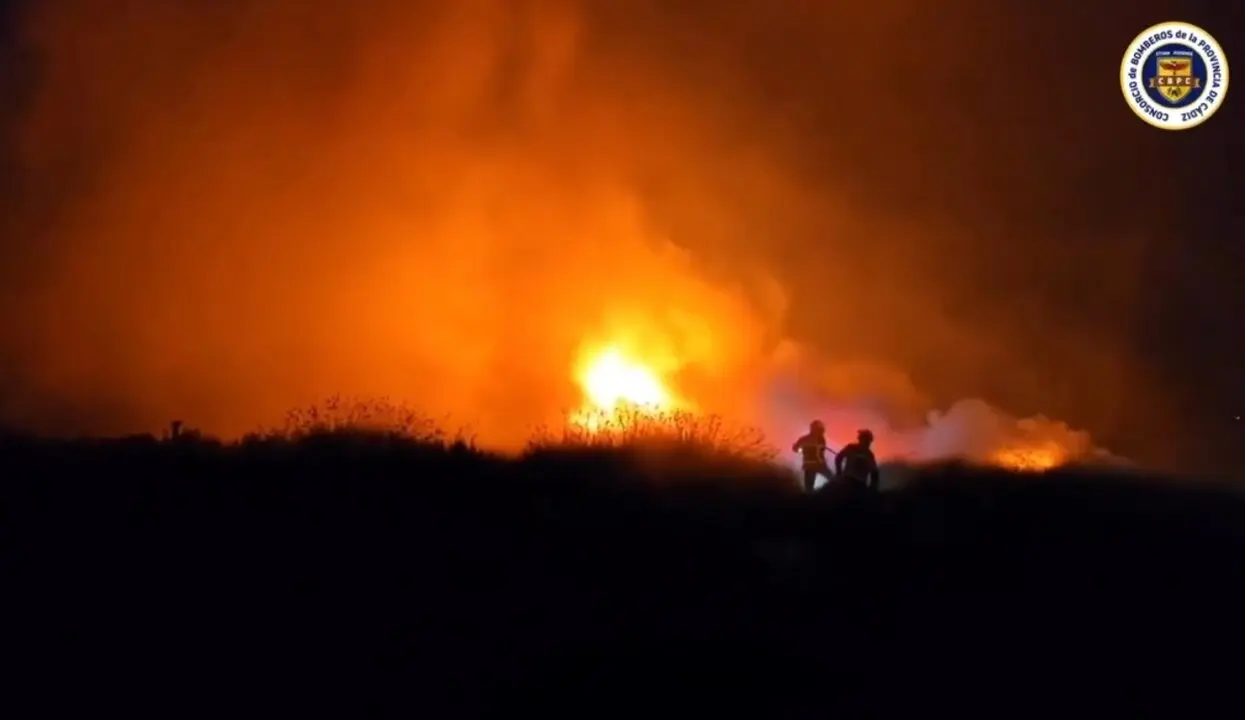 Incendio en la zona del Pinar de la Dehesa de las Yeguas. Europa Press.