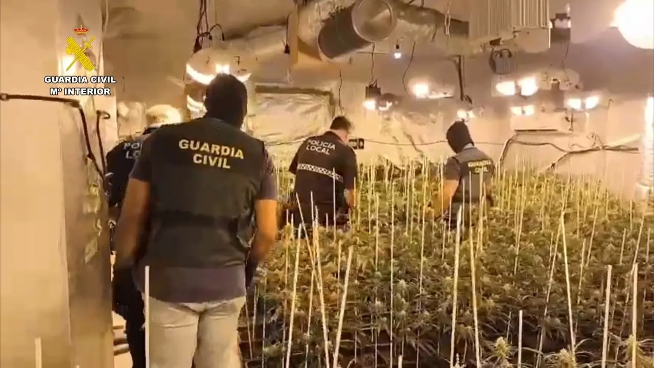 Plantaci&oacute;n de marihuana en una casa en Hinojos. | Europa Press.