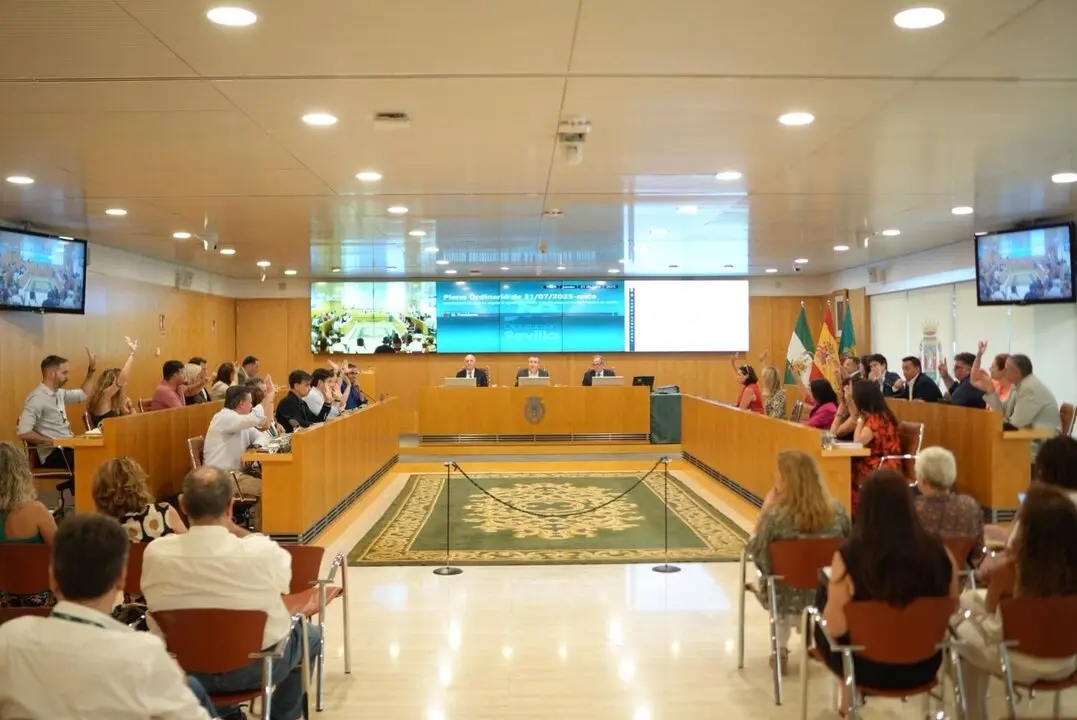 Pleno de la Diputaci&oacute;n | Europa Press.