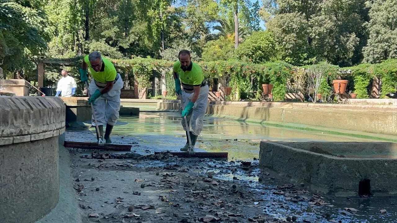 El Ayuntamiento contin&uacute;a con los trabajos de limpieza y mantenimiento de los estanques del Parque de Mar&iacute;a Luisa | AYTO. DE SEVILLA