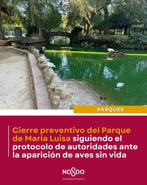 Anuncio del Ayuntamiento- | Ayto