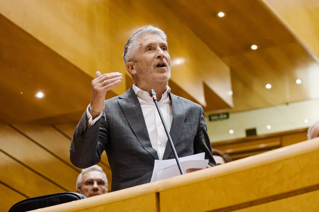 El ministro del Interior, Fernando Grande-Marlaska, en el Senado. | Carlos Luj&aacute;n / Europa Press
