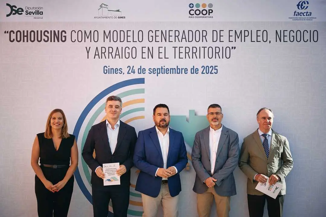 Presentaci&oacute;n del estudio 'Cohousing' de Faecta.| DIPUTACION