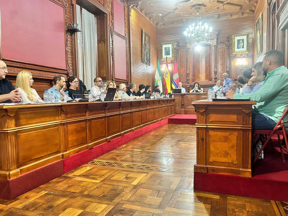 Un momento del Pleno celebrado