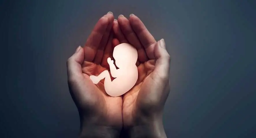 La ley del aborto.