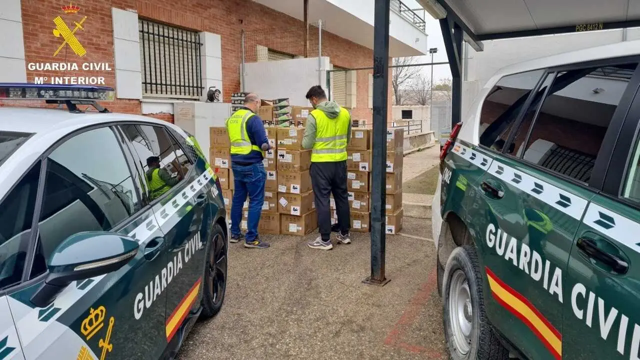 Los vapeadores ilegales interceptados. |DGGC