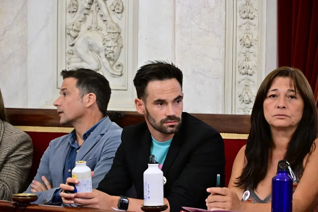 David de la Cruz, durante un Pleno municipal. / Eulogio Garc&iacute;a