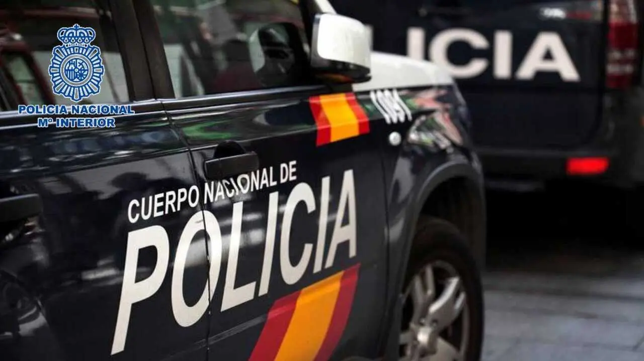 Veh&iacute;culo policial./CNP.