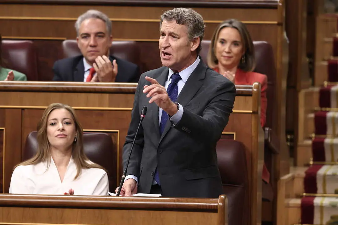 El presidente del Partido Popular, Alberto N&uacute;&ntilde;ez Feij&oacute;o. | Europa Press.