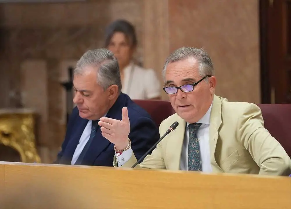 EuropaPress_7046409_delegado_hacienda_ayuntamiento_sevilla_juan_bueno_pleno_ayuntamiento_imagen
