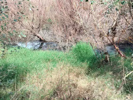 Lagunas e aguas fecales en Las Piletas. / Ecologistas en Acci&oacute;n.