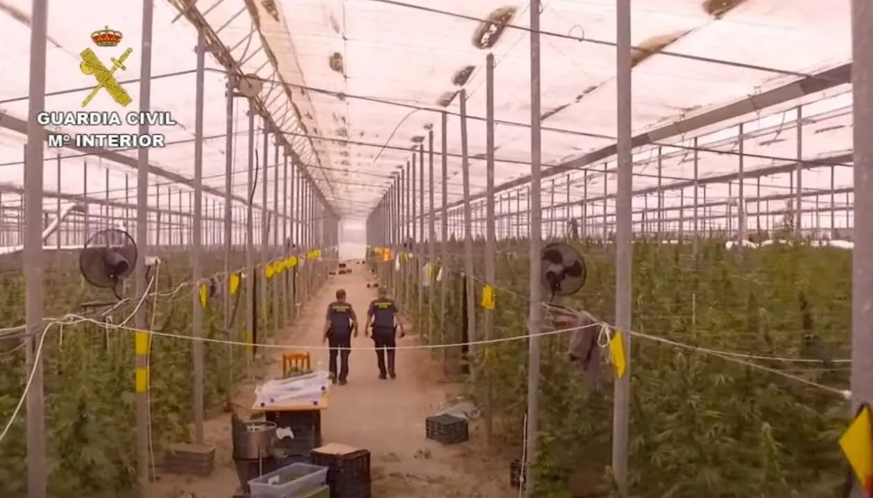 Invernaderos de N&iacute;jar con plantaciones de marihuana. | Europa Press.
