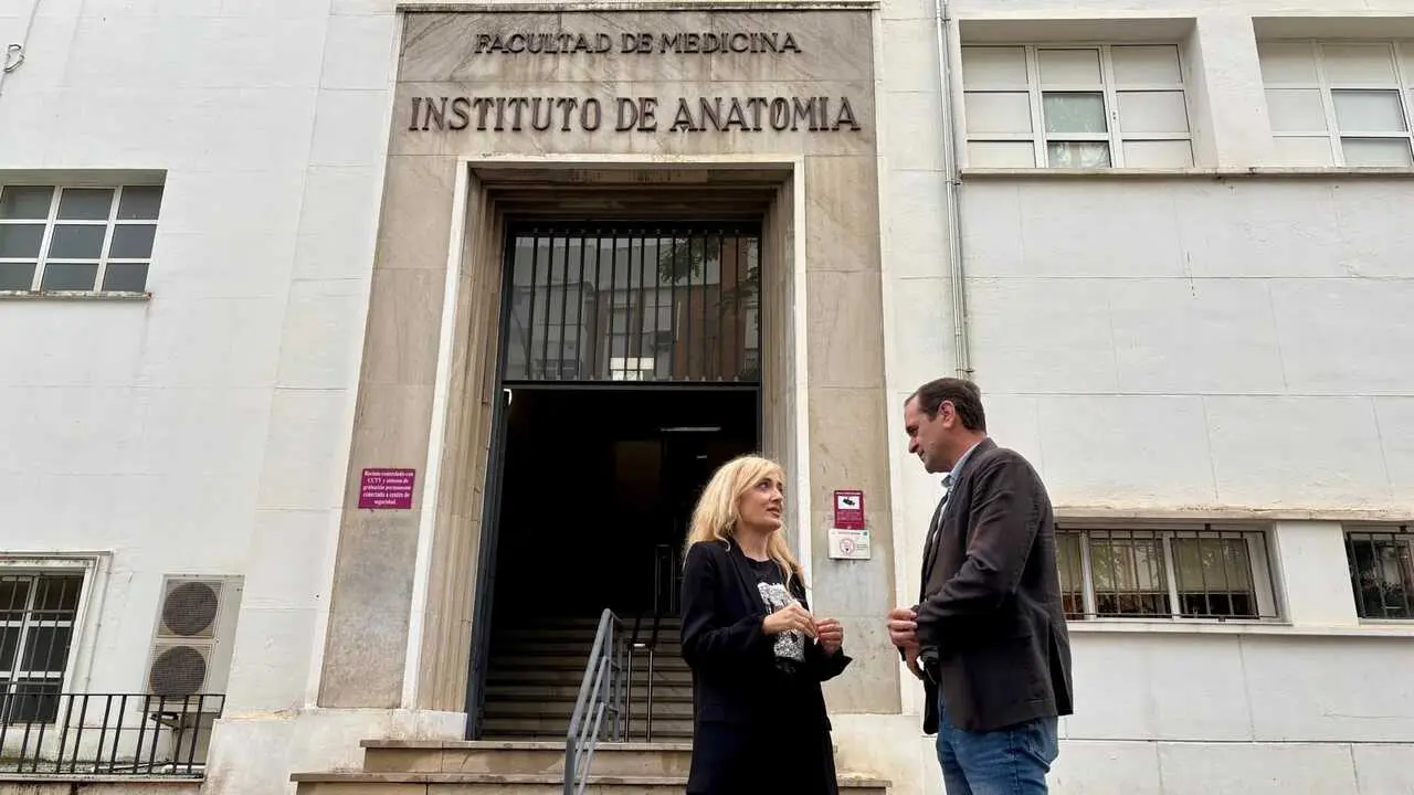 La diputada sevillana en el Congreso Carmen Castilla | E.P.