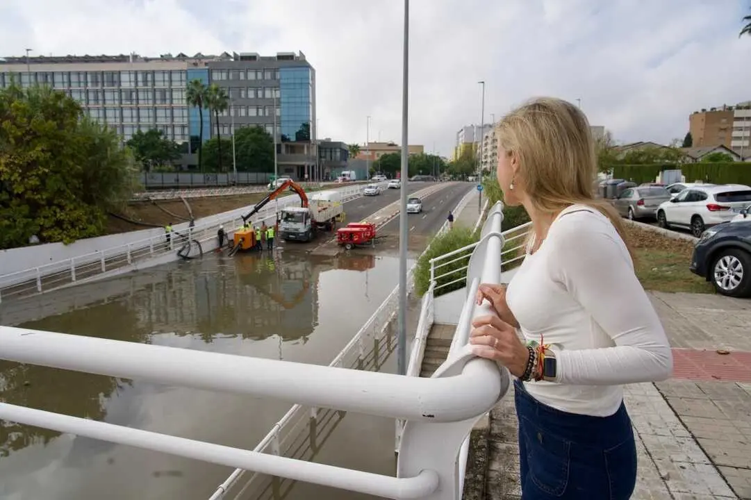 La portavoz municipal de Vox, observa los efectos del temporal en la ciudad |&nbsp;VOX SEVILLA