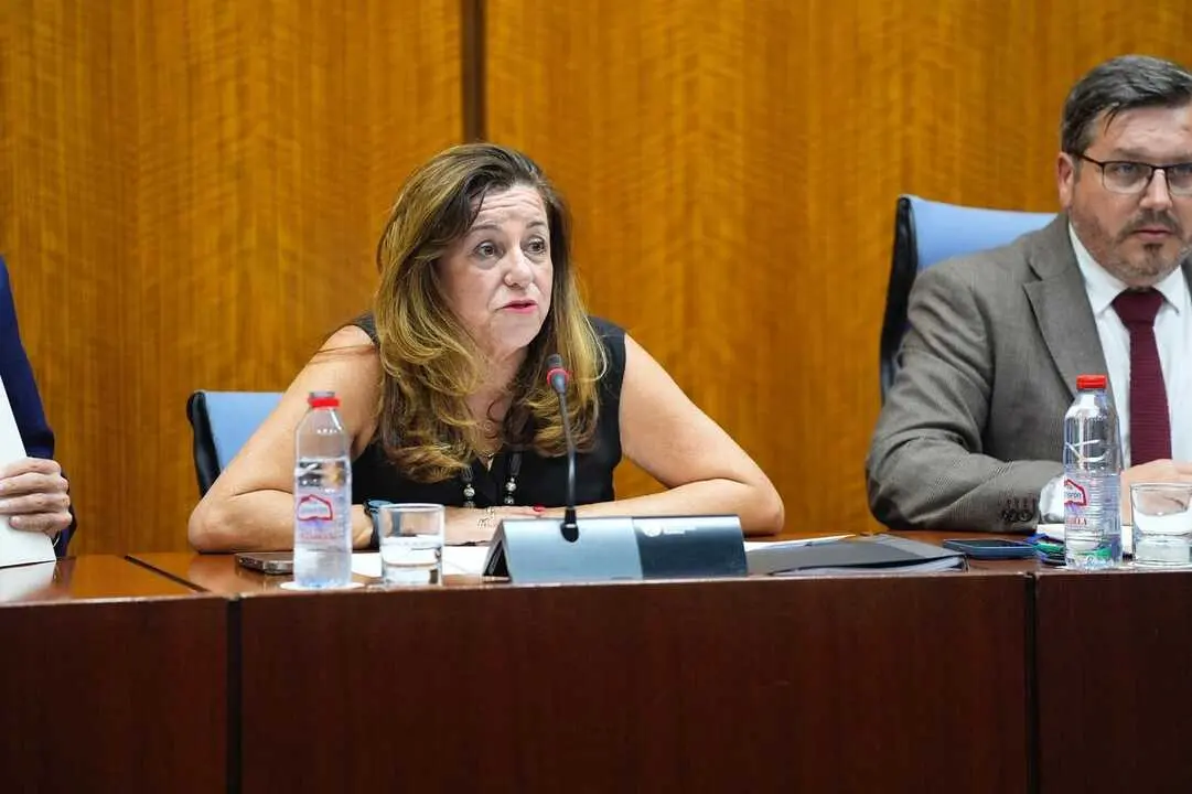 La consejera de Desarrollo Educativo y Formaci&oacute;n Profesional, Mar&iacute;a del Carmen Castillo | JOAQUIN CORCHERO / PARLAMENTO DE ANDALUCIA