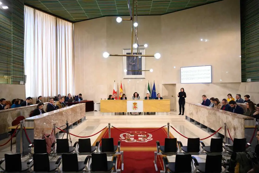 EuropaPress_5653680_pleno_ayuntamiento_almeria