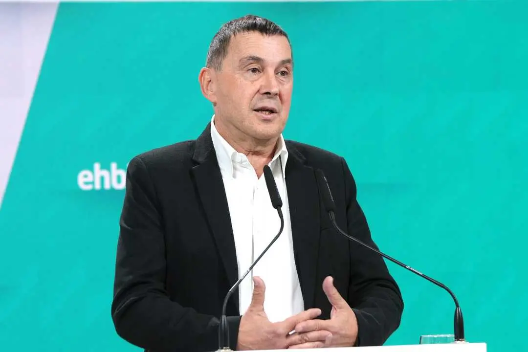 Otegi. | Europa Press.