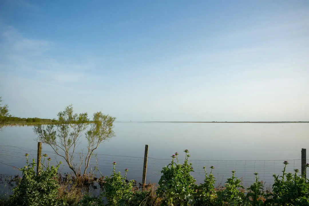 Marisma de Do&ntilde;ana. | EP.