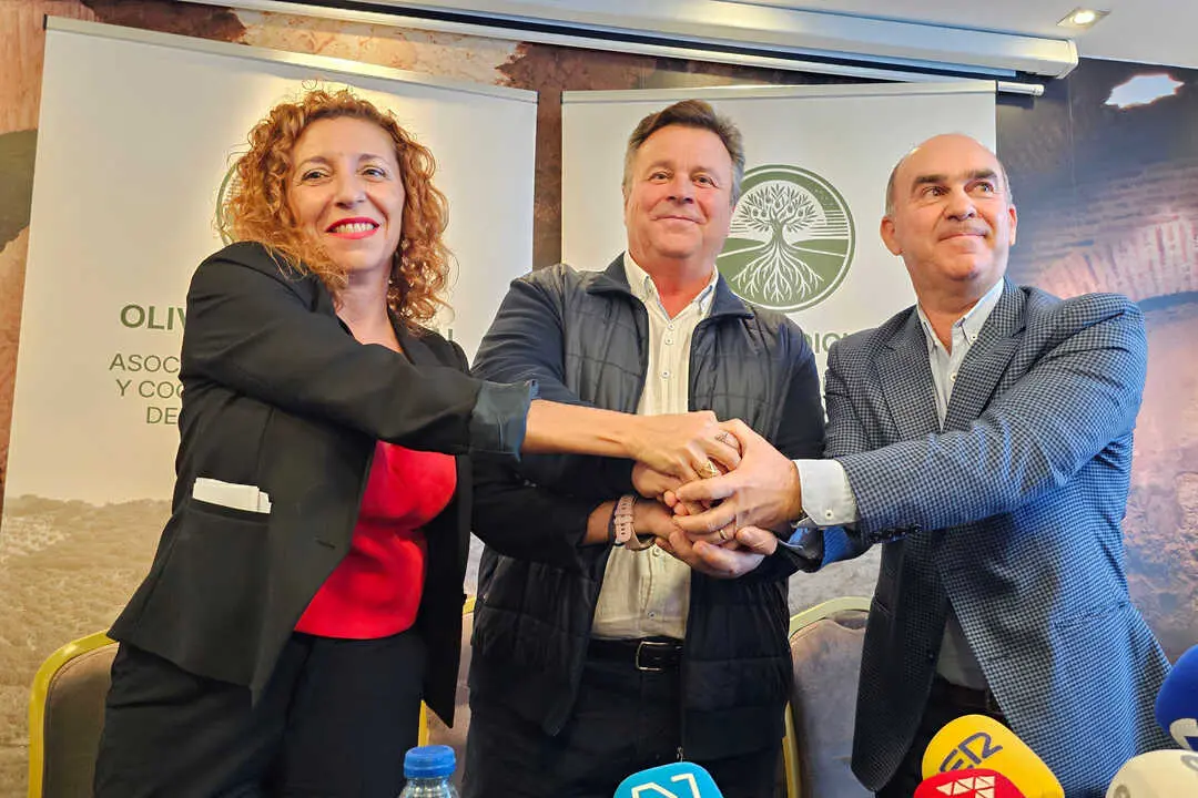 Pacto entre C&oacute;rdoba, Ja&eacute;n y Granada por el olivar tradicional.