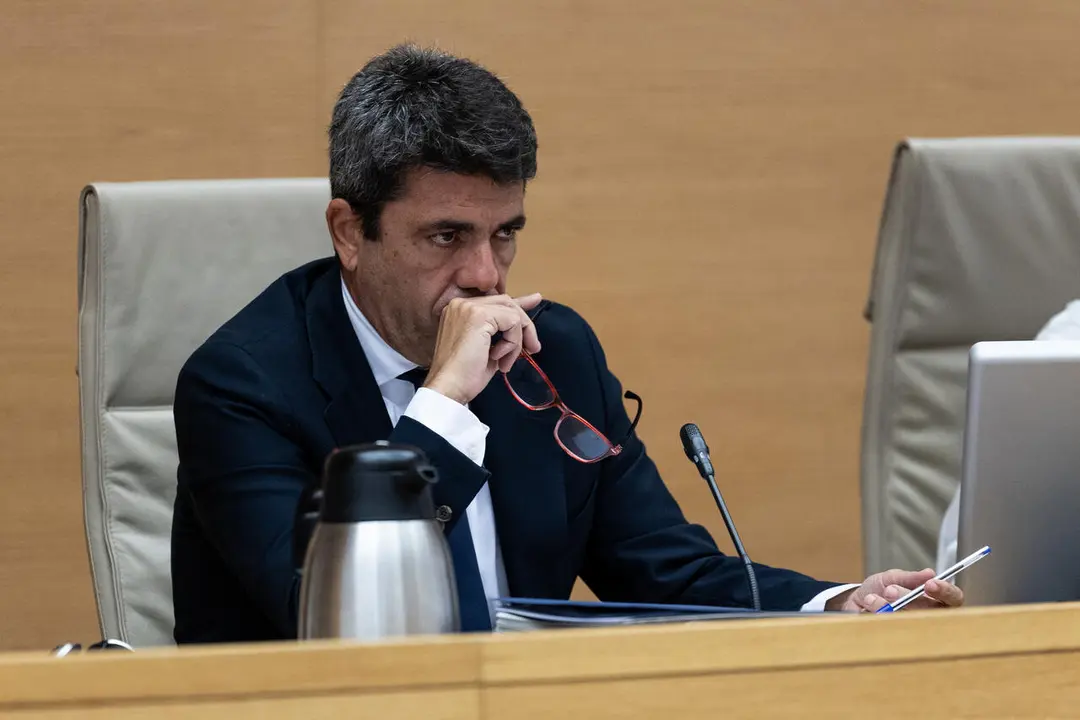 Carlos Maz&oacute;n./Ananda Manj&oacute;n-Europa Press.