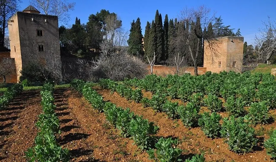 a Alhambra prepara la recuperaci&oacute;n de la Casa de la Huerta Color&aacute; en el Generalife. | Europa Press.
