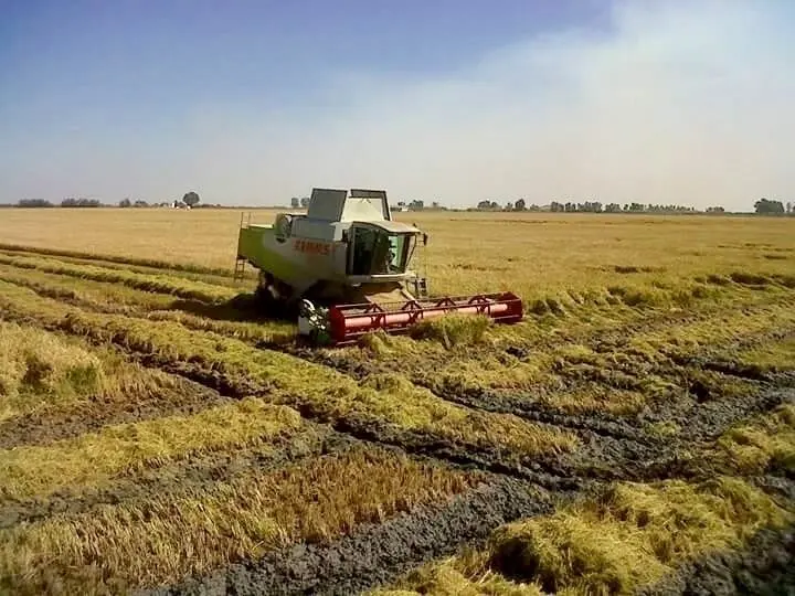 Agricultura. | Europa Press.