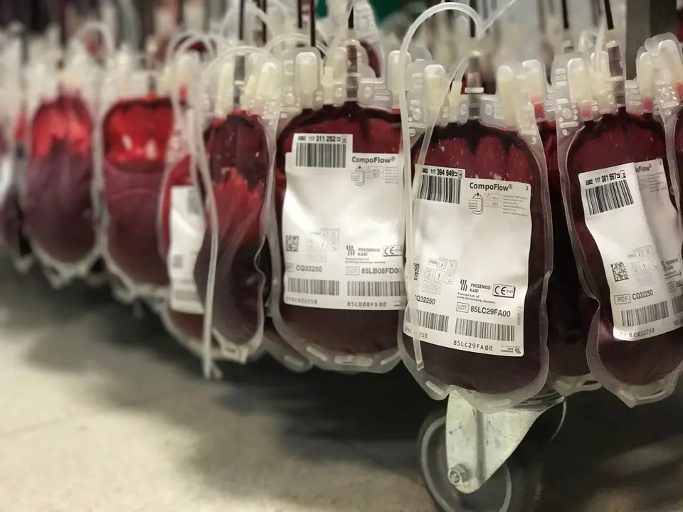 Sangre donada. | Junta.