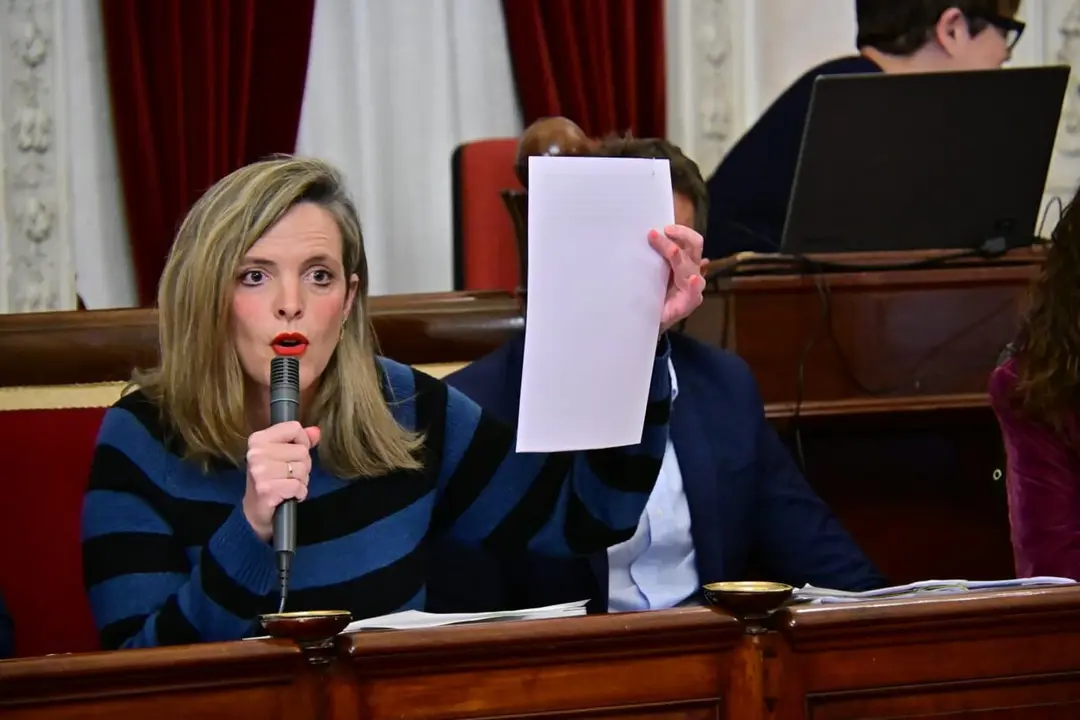 Maite Gonz&aacute;lez, durante una intervenci&oacute;n en un Pleno municipal. / Eulogio Garc&iacute;a