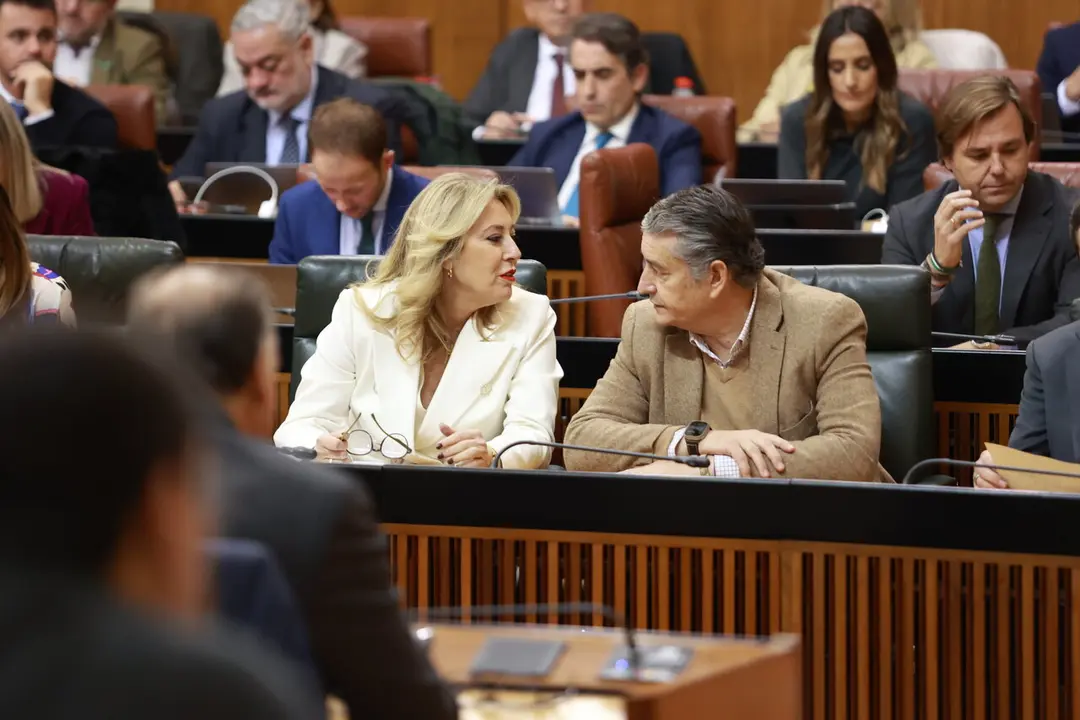 La consejera de Econom&iacute;a, Hacienda, Fondos Europeos y Di&aacute;logo Social, Carolina Espa&ntilde;a | Roc&iacute;o Ruz / Europa Press