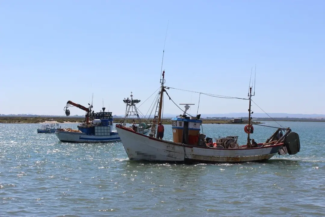 Flota de arrastre. | Europa Press.
