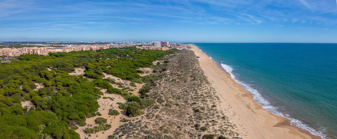 Playa de Los Enebrales en Punta Umbr&iacute;a. | Ayto. Punta Umbr&iacute;a.