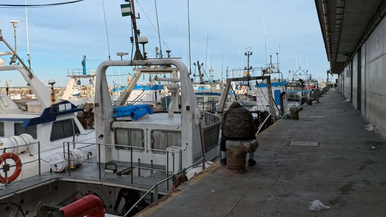 La flota pesquera se encuentra amarrada a puerto./NICO