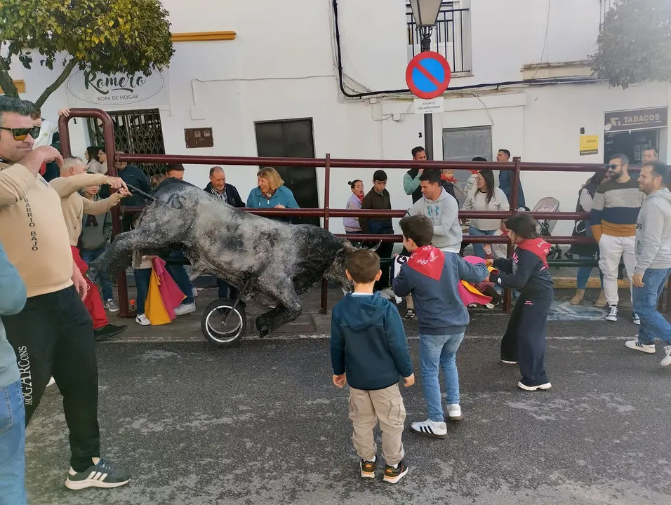 Encierro infantil con carretones del pasado s&aacute;bado en Arcos./ J.A.A.L.