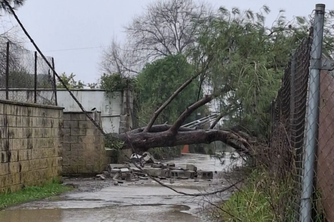 Incidencias en Utrera 27 enero 2026. | UTI
