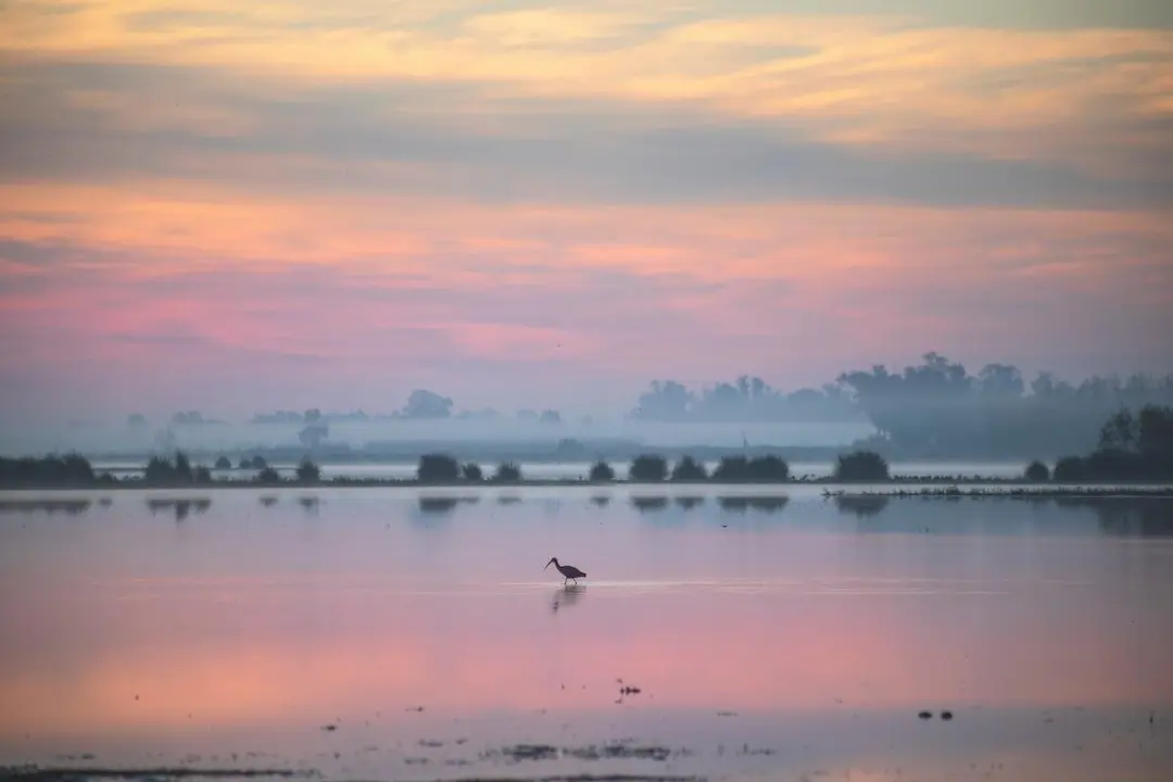 Humedales de Do&ntilde;ana. | Huelva Riega.