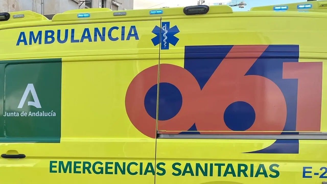 Los servicios santiarios no pudieron hacer nada por salvarle la vida - E.P.