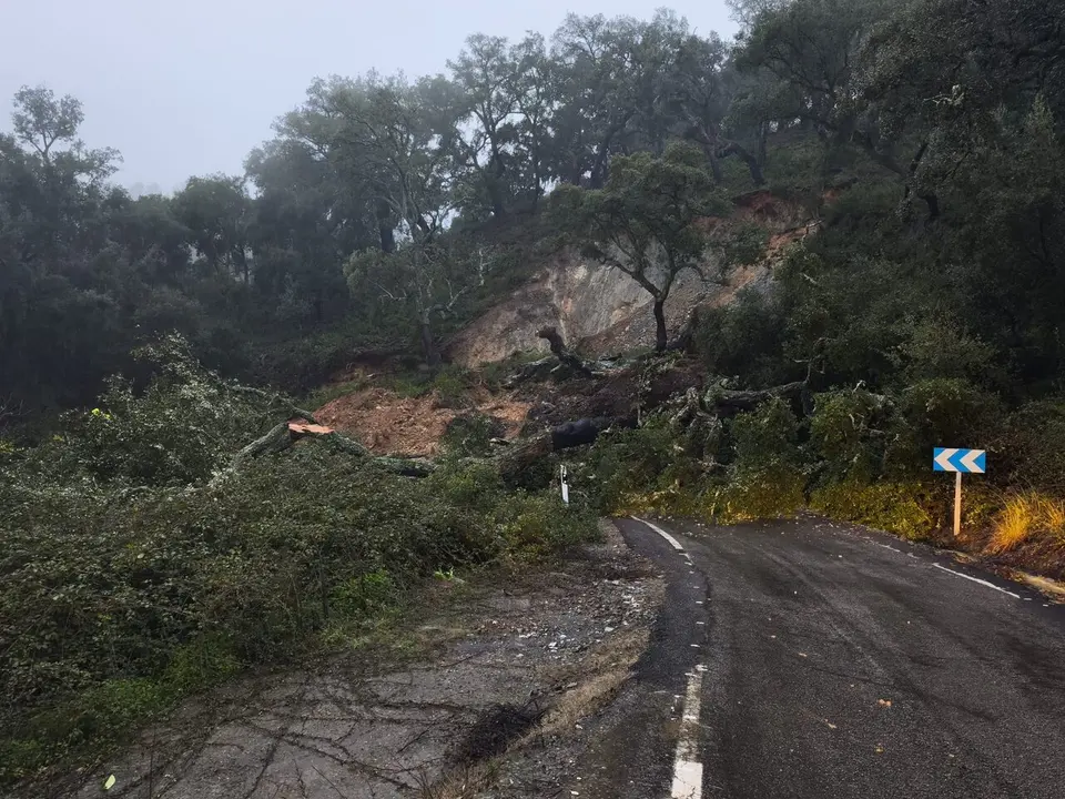 Una carretera de la red provincial afectada por la borrasca. | Dipu.
