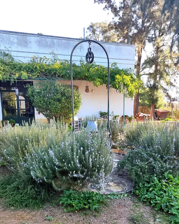 Recreo de La Belleza. | VIVA