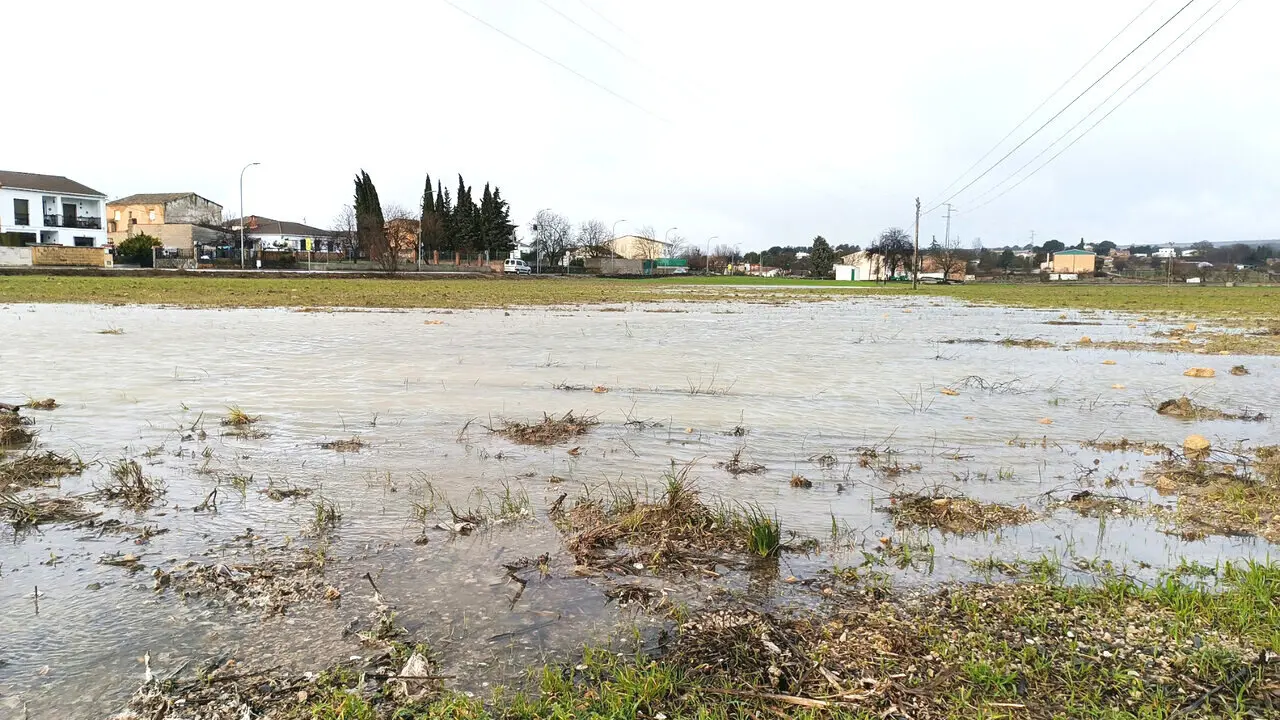 Balsas de agua en las proximidades de Santa Ana, este mismo viernes.
