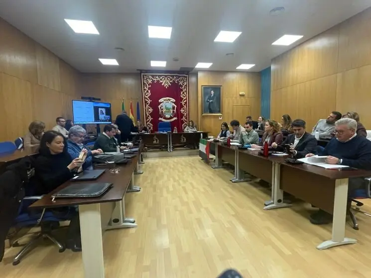 Los concejales durante una sesi&oacute;n plenaria.