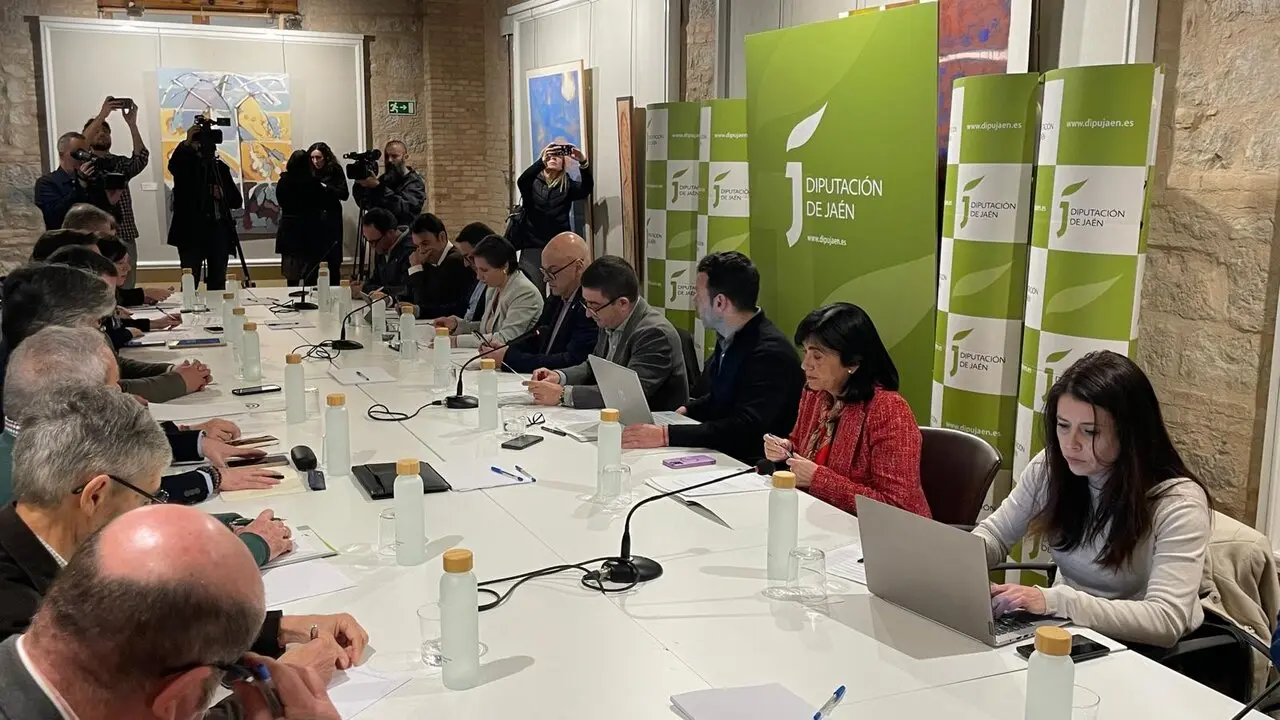 Reuni&oacute;n del Consejo del Olivar. - Foto: Diputaci&oacute;n de J&aacute;en.
