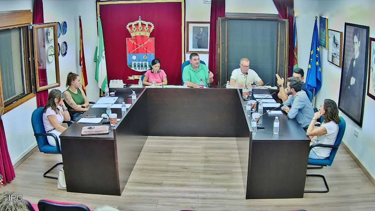 Pleno del Ayuntamiento de V&iacute;znar. | Europa Press.