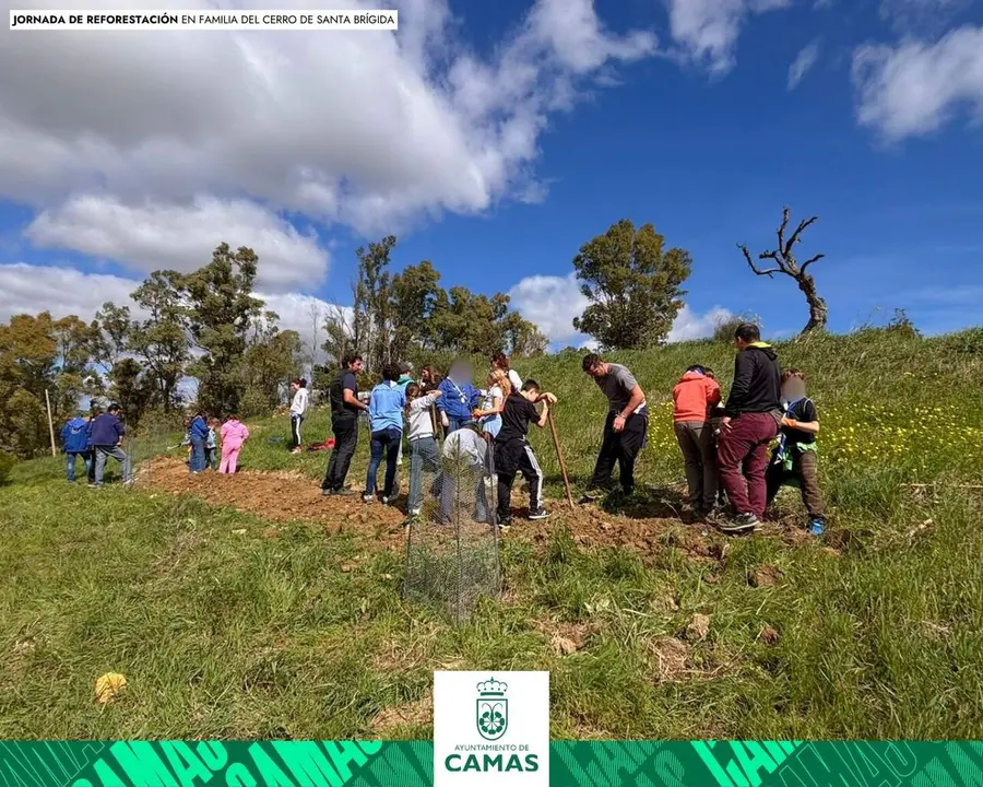 Jornada de reforestaci&oacute;n en familia del cerro de Santa Br&iacute;gida.| AYTO CAMAS