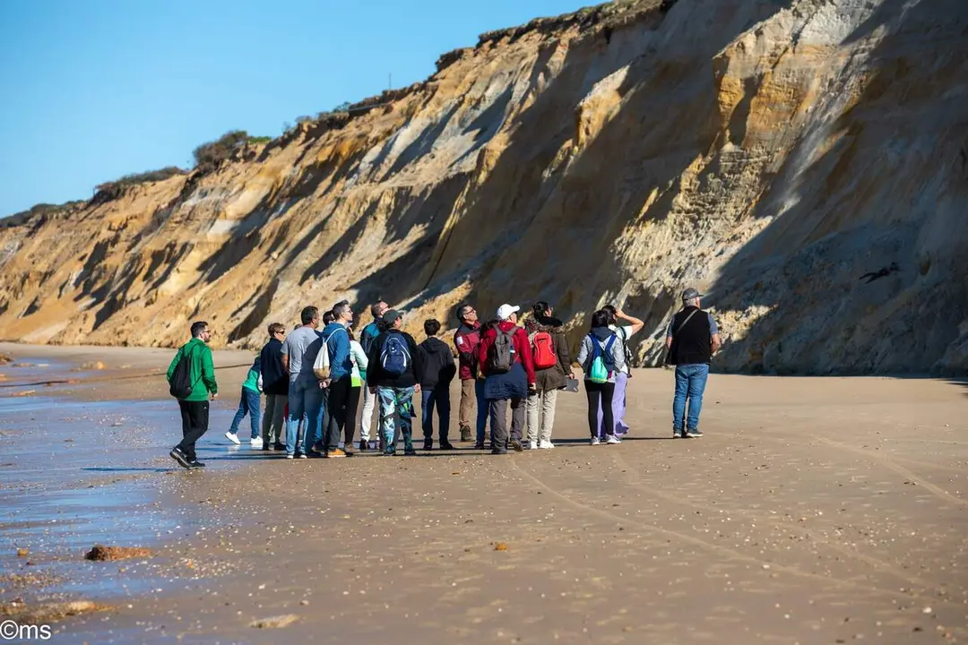 Yacimiento de huellas f&oacute;siles de Matalasca&ntilde;as. | Espacio Natural de Do&ntilde;ana.