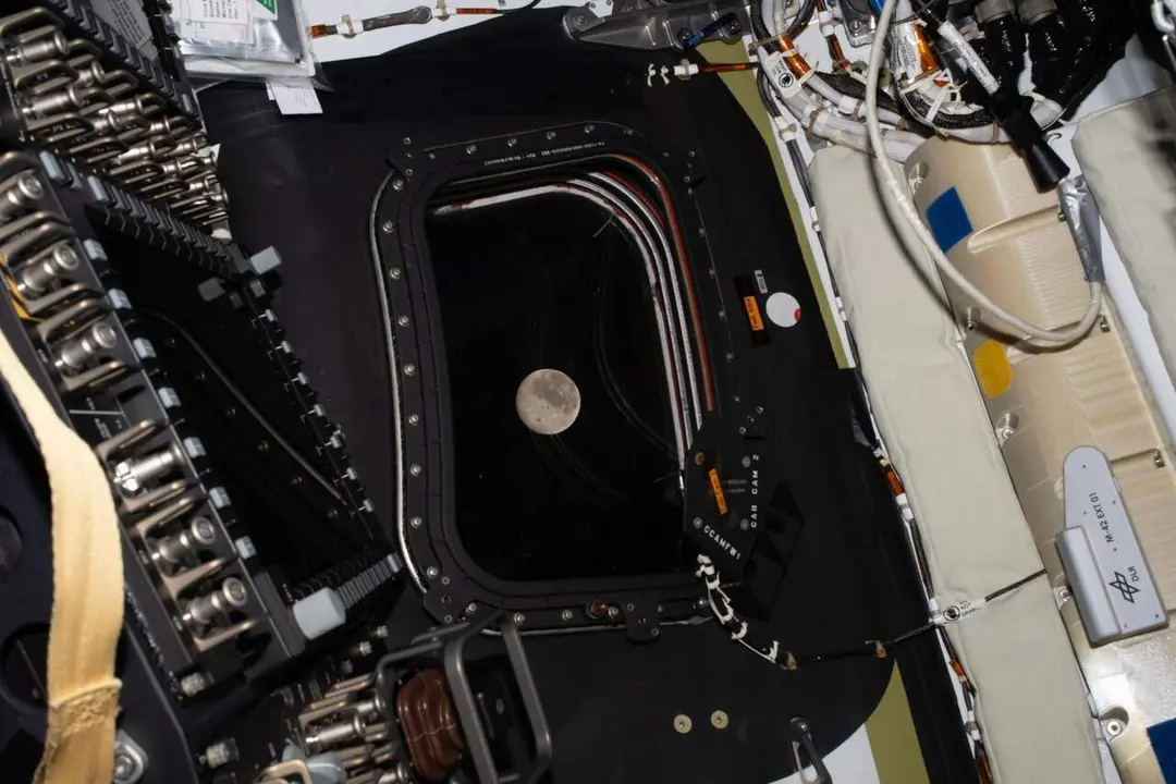 Sexto d&iacute;a de vuelo de Artemis II: La tripulaci&oacute;n est&aacute; lista para el sobrevuelo lunar
- NASA