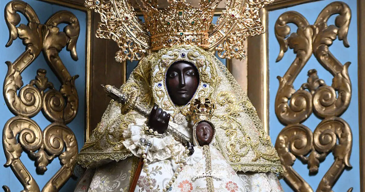 La Virgen de Guadalupe |&nbsp;ANDRÉS MARTÍN - HDAD