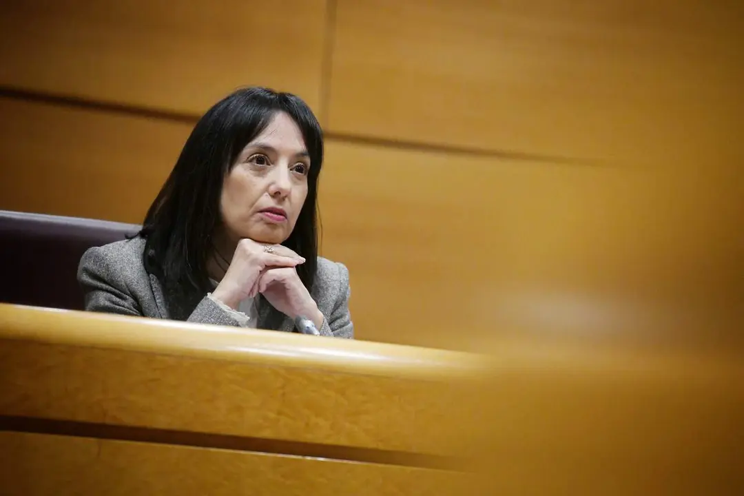 La directora general de la Guardia Civil, Mercedes Gonz&aacute;lez Fern&aacute;ndez. | Europa Press.