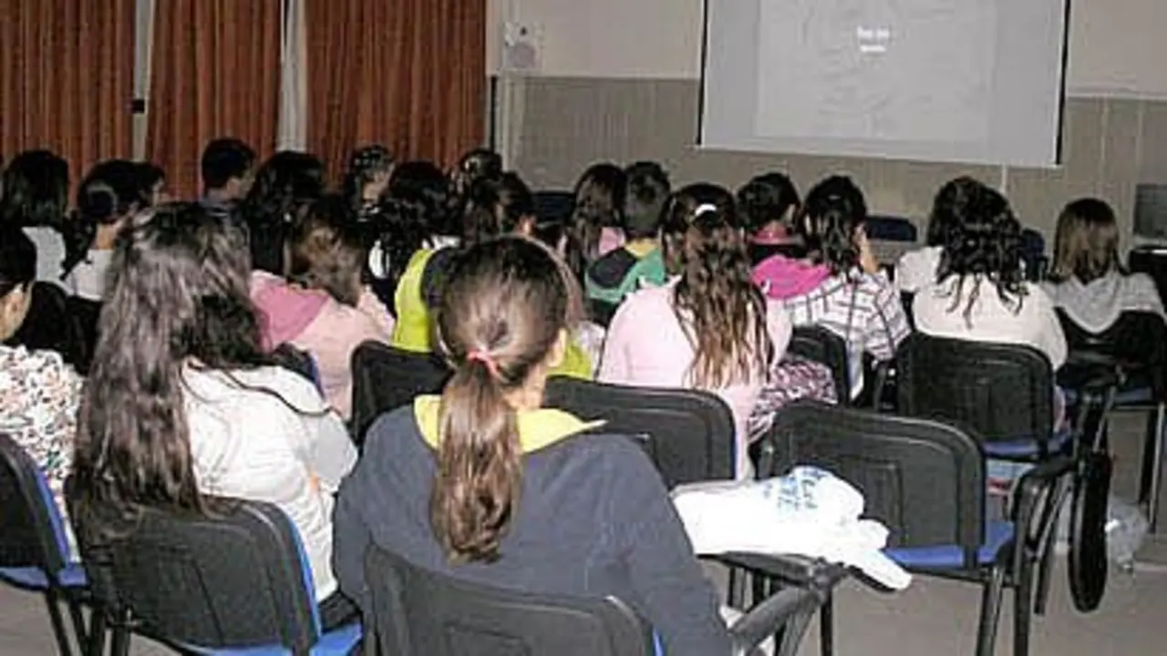 Una de las charlas llevadas a cabo en el IES Jos&eacute; Luis Tejada. | VIVA