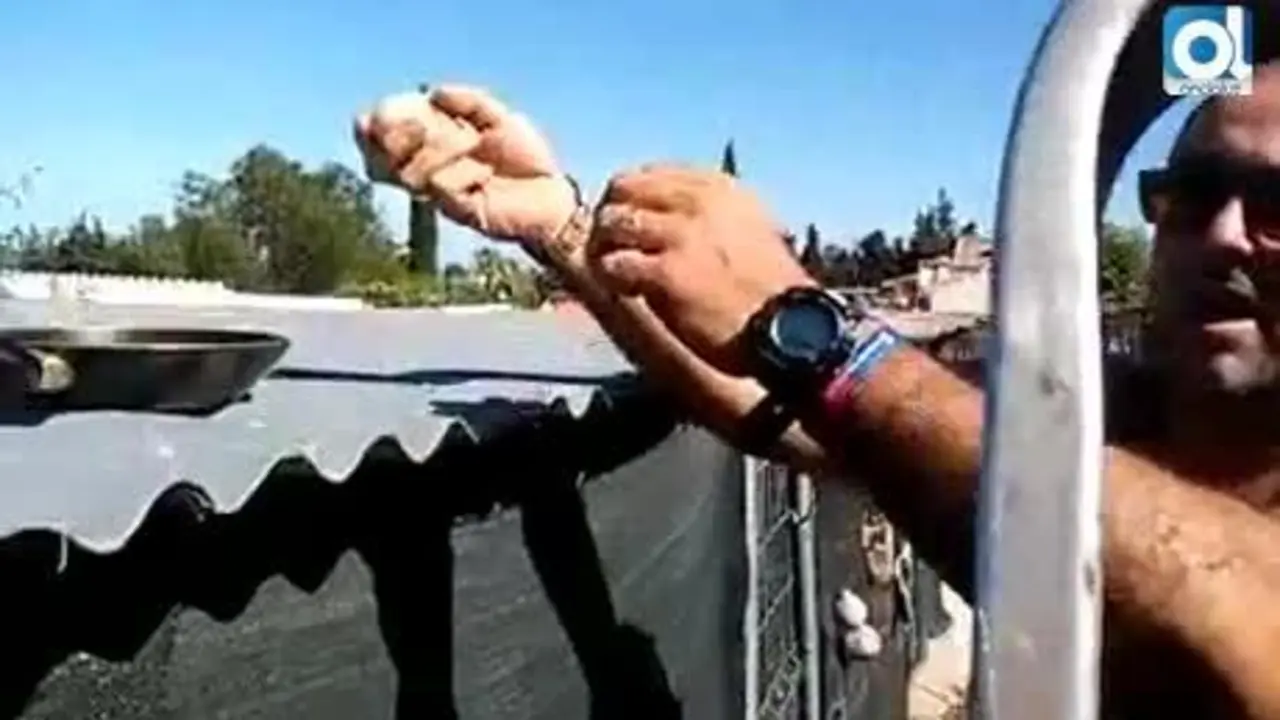 Los efectos del terral en Estepona: huevo frito en el tejado